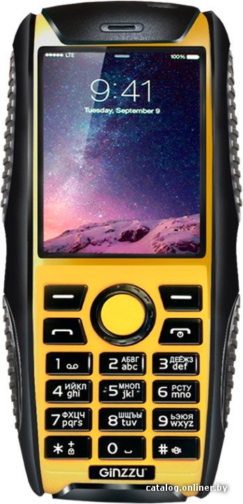 Кнопочный телефон Ginzzu R41D Black/Orange