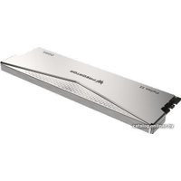 Оперативная память Acer Predator Pallas II 2x16ГБ DDR5 6400 МГц BL.9BWWR.375 в Орше