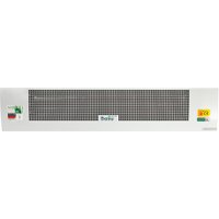 Тепловая завеса Ballu BHC-B15T06-PS
