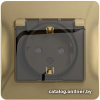 Розетка Schneider Electric Glossa GSL000448 (титан)