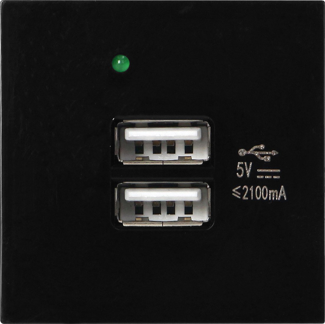 

Розетка USB Orno OR-GM-9010/B/USBX2