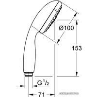 Душевая лейка Grohe New Tempesta 100 28261002