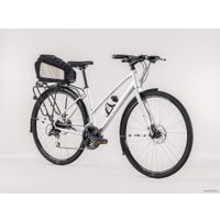 Велосипед Trek FX 2 Disc Women's Stagger L 2020 (серебристый)