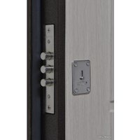 Металлическая дверь Steel Design Prestige 1