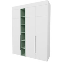Шкаф распашной Рэйгрупп Рэй S274-В7-1-EBZ В7-1 (дуб элисон/белый премиум/зеленый самшит)