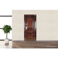 Металлическая дверь Yasin F06