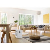 Мойка воздуха Boneco Air-O-Swiss W300