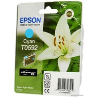 Картридж Epson C13T05924010