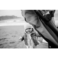 Коляска прогулочная «книга» Anex Air-x 2022 (green)