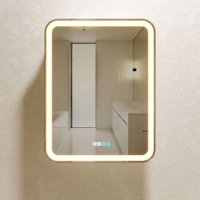  Silver Mirrors Шкаф с зеркалом Фиджи 60x80 LED-00002364