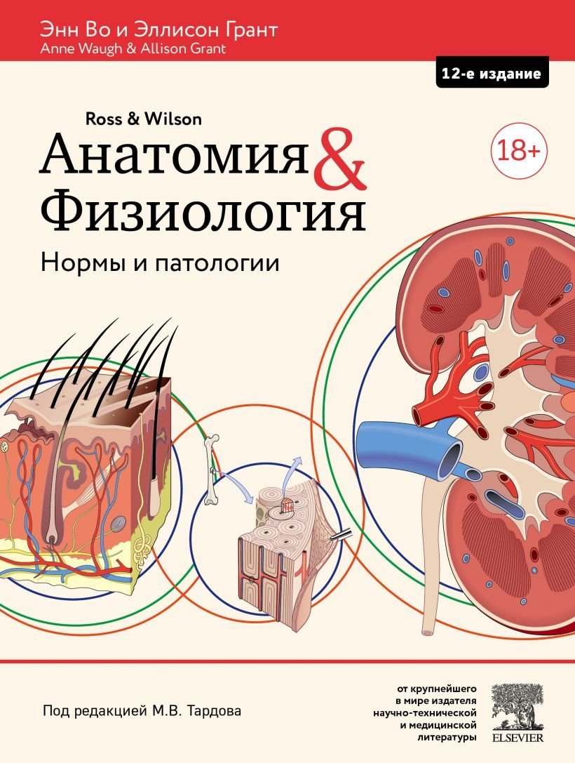 

Книга издательства Эксмо. Анатомия и физиология. Нормы и патологии (Во Энн/Грант Эллисон)