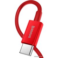 Кабель Baseus USB Type-C - Lightning CATLYS-A01 (1 м, черный)