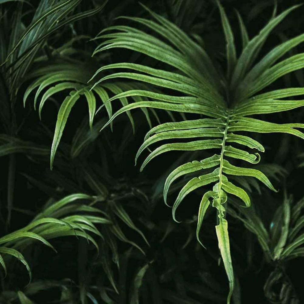 

Картина на стекле Stamprint Специи виды 2 AR028 (30x30)