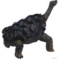 Фигурка Masai Mara Мир диких животных. Звезчатая черепаха MM218-372