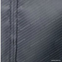 Чемодан-спиннер Francesco Molinary 341-AT309/3-19GRN (салатовый)