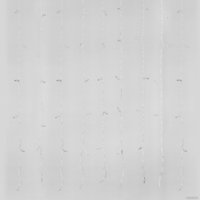 Световой дождь Uniel UL-00003684 (теплый белый)