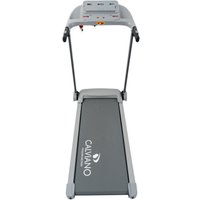 Электрическая беговая дорожка Calviano Harvi (серый)