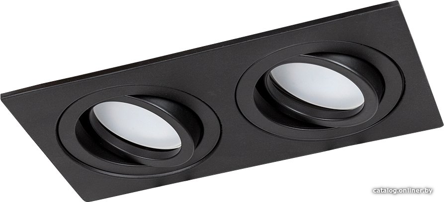 Точечный светильник Arte Lamp Tarf A2168PL-2BK