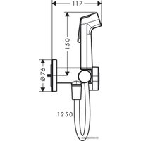 Гигиенический душ Hansgrohe Bidette 1jet S 29232000