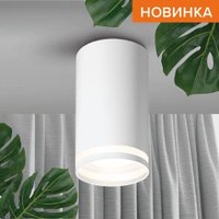 Спот Wolta WSL-GU10/02W