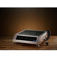 Настольная плита Iplate ALINA 3500