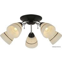 Подвесная люстра Toplight Winnifred TL1255D-05BC