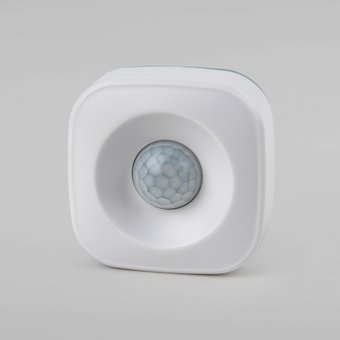 Elektrostandard движения 76230/00