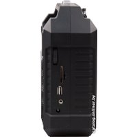 Радиоприемник Ritmix RPR-444