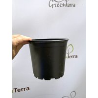 Кассета/горшок для рассады GreenTerra 15x13.5 см (1.8 л, 100 шт)