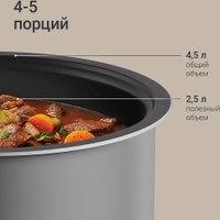 Мультиварка Redmond (Редмонд) RMC-450 (серебристый)