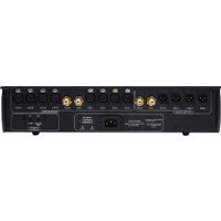 Предварительный усилитель Denafrips Athena 12TH (черный)