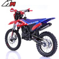 Мотоцикл Apollino Enduro AM 300 21/18 (красный/синий)