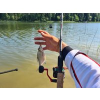 Удилище Волжанка Optima Evo Pro 14ft тест 120+гр 041-0120 (4.2м)