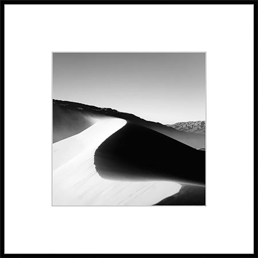 Картина Stamprint Природа 3 BW003 (50x50)
