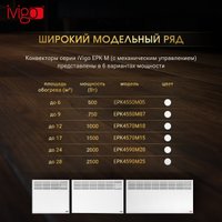 Конвектор iVigo EPK4570M10