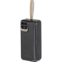 Внешний аккумулятор Rivacase VA2585 30000mAh (черный)