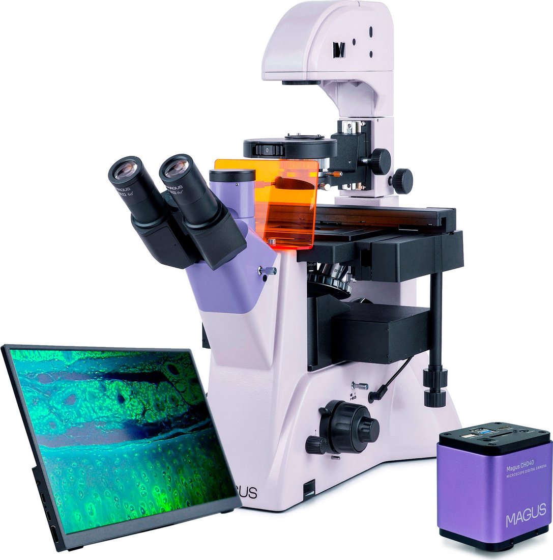 

Микроскоп Magus Lum VD500L LCD 83023