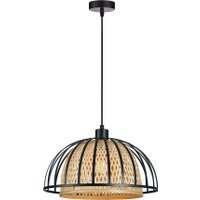 Подвесная люстра Arte Lamp Woodstock A7071SP-1BK