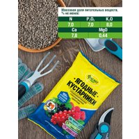 Удобрение Фаско Для ягодных кустарников гранулированное (1 кг)