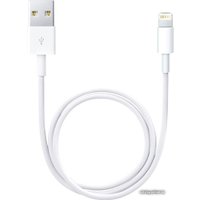 Кабель Apple USB 2.0 Type-A - Lightning (0.5 м, белый)