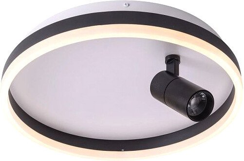 

Припотолочная люстра Zortes Raizy ZRS.1888.03