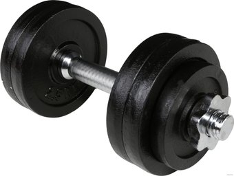 Гантель Iron People IR92034 15кг