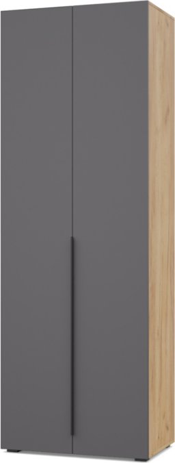 Шкаф распашной Modern Харди Х22 (золотистый дуб/графит)