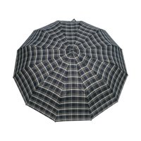 Складной зонт RS RS12СН-2