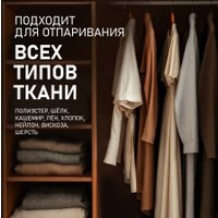 Отпариватель Weissgauff WGS 251 DW Steam Iron Pro