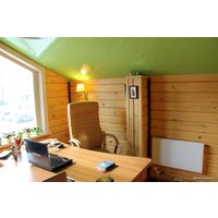 Инфракрасный обогреватель Теплофон ЭРГНА 0,7/220 (п) в Гомеле