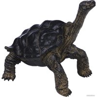 Фигурка Masai Mara Мир диких животных. Звезчатая черепаха MM218-372