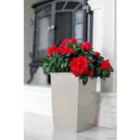 Кашпо GardenPlast Жасмин 1.5 л (белый)