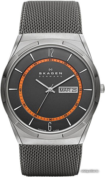 Наручные часы Skagen SKW6007