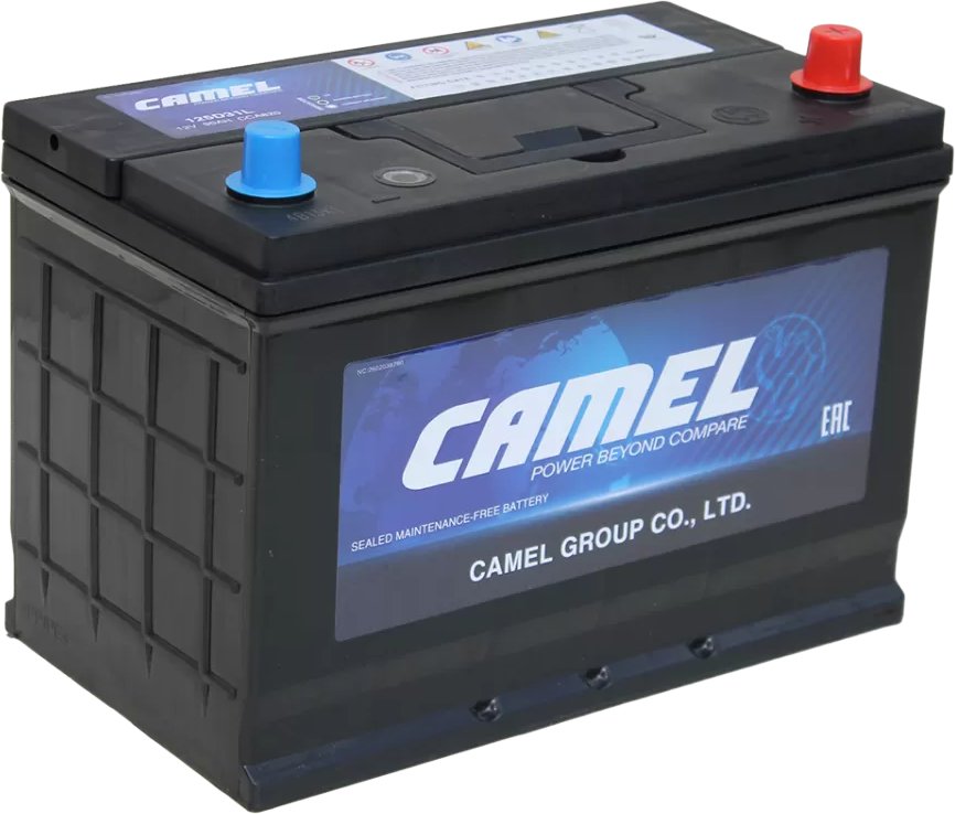 

Автомобильный аккумулятор Camel Asia 125D31L euro (90 А·ч)